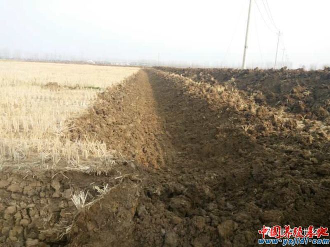中國養殖基地 yzjidi.com