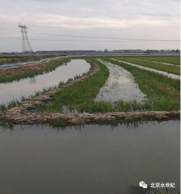 中國養殖基地 yzjidi.com