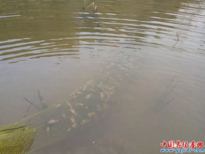 中國養殖基地 yzjidi.com