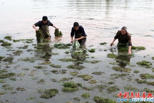 中國養殖基地 yzjidi.com