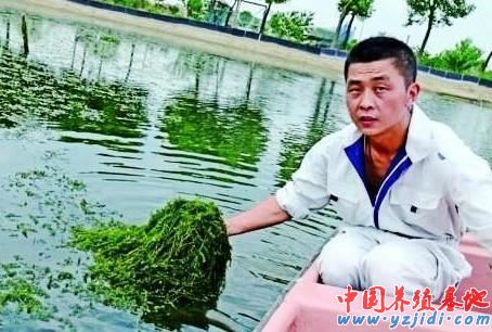 中國養殖基地 yzjidi.com