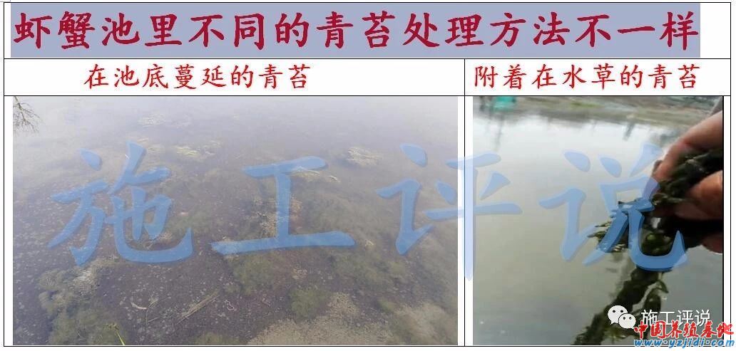 中國養殖基地 yzjidi.com