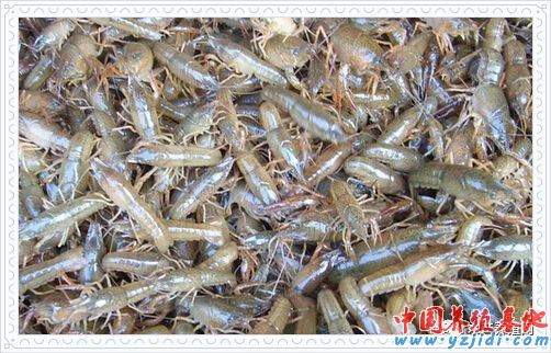 按此在新窗口瀏覽圖片