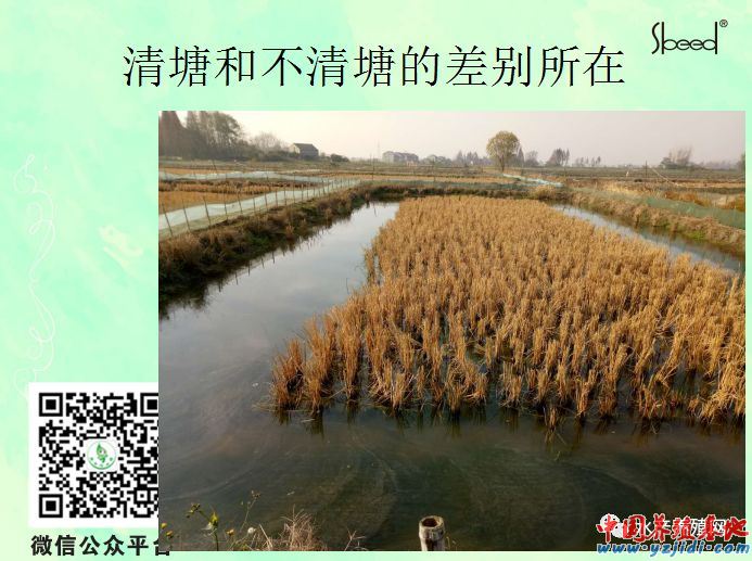 按此在新窗口瀏覽圖片