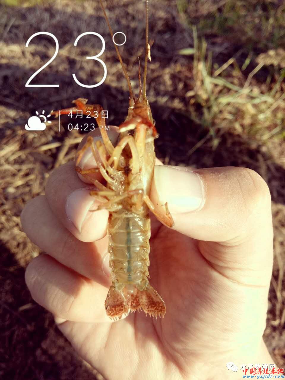 按此在新窗口瀏覽圖片