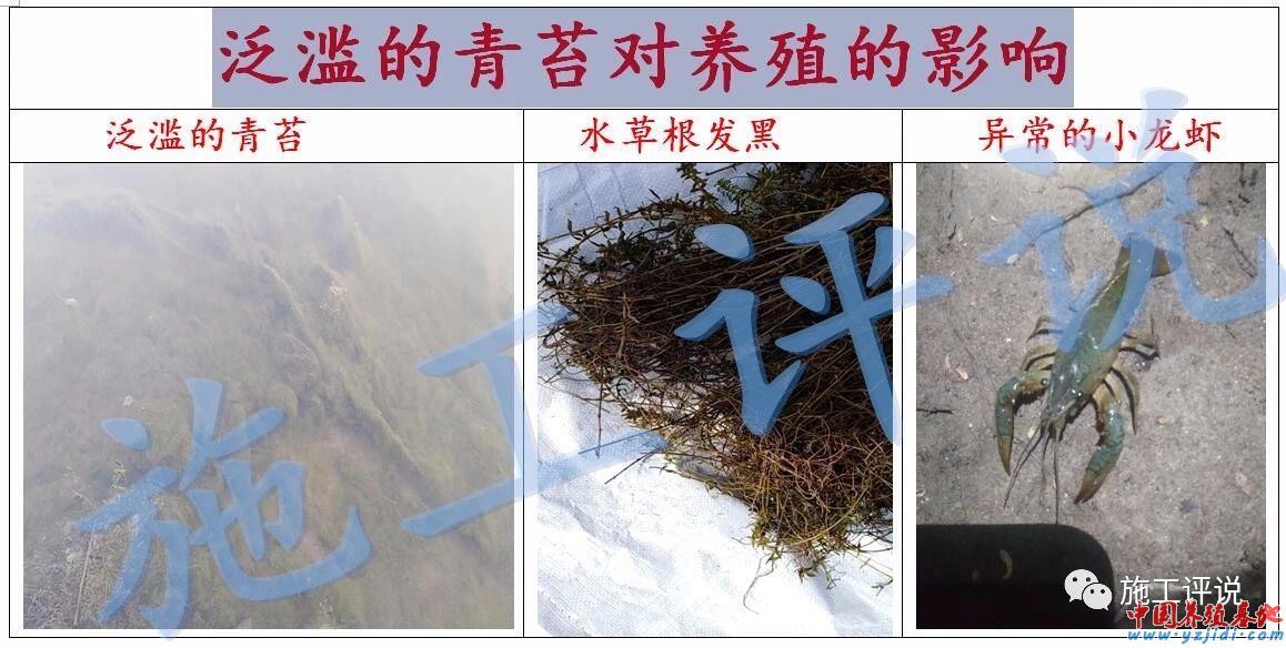 中國養殖基地 yzjidi.com