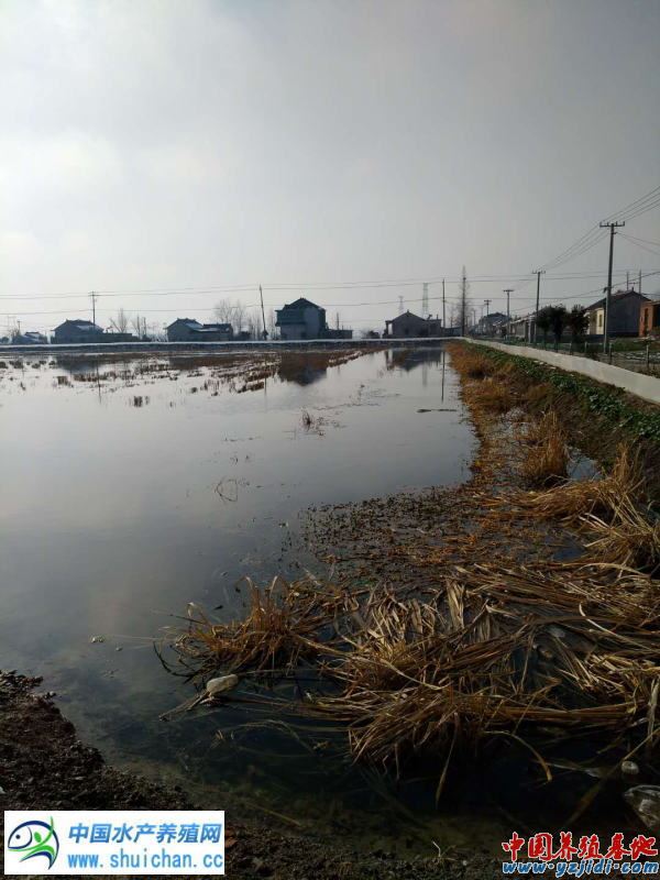中國養殖基地 yzjidi.com