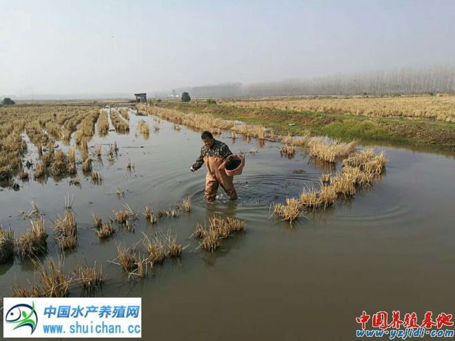 中國養殖基地 yzjidi.com