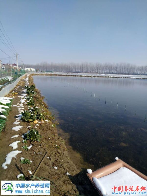 中國養殖基地 yzjidi.com