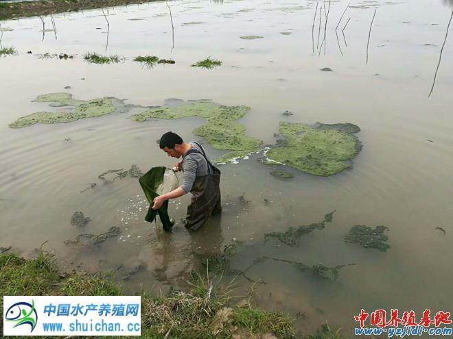 中國養殖基地 yzjidi.com