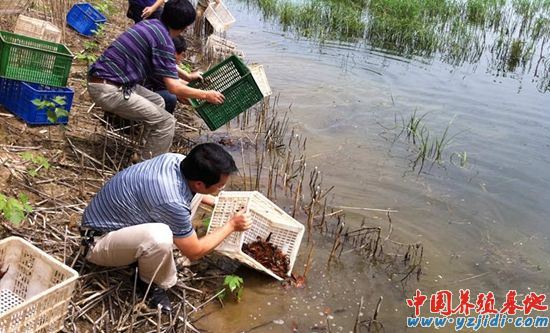 中國養殖基地 yzjidi.com