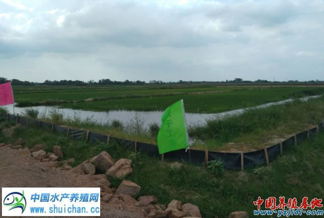 中國養殖基地 yzjidi.com