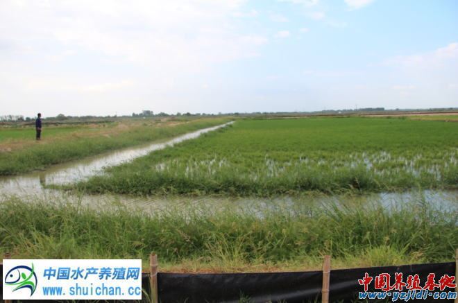 中國養殖基地 yzjidi.com