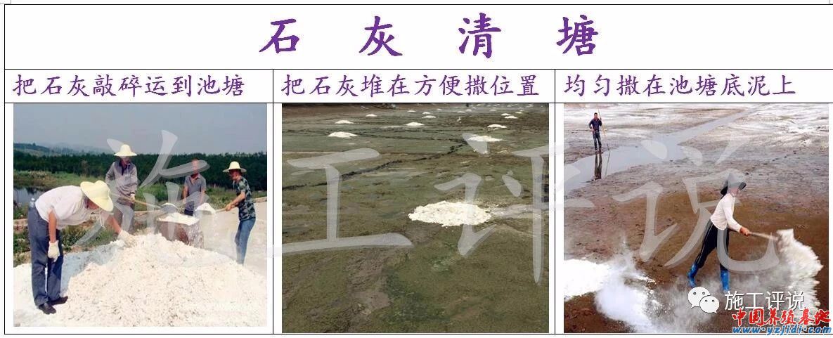 中國養殖基地 yzjidi.com