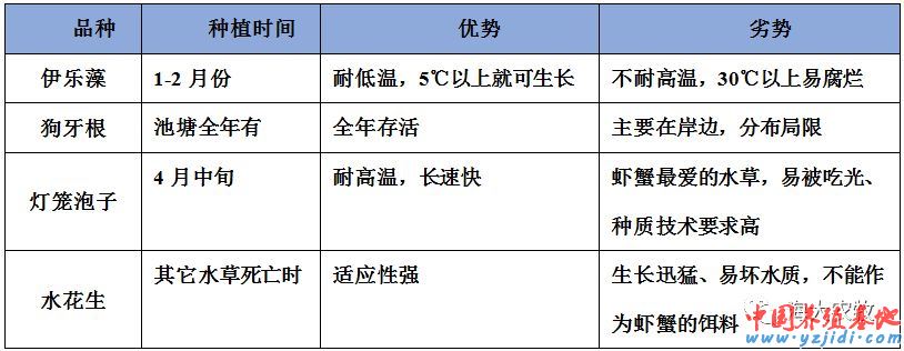 中國養殖基地 yzjidi.com