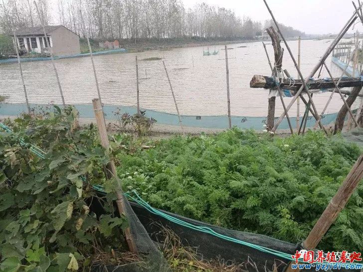 中國養殖基地 yzjidi.com