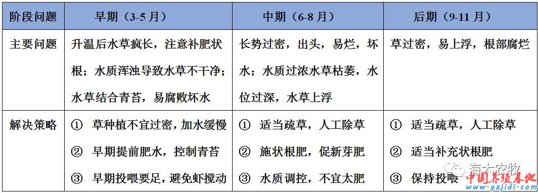 中國養殖基地 yzjidi.com