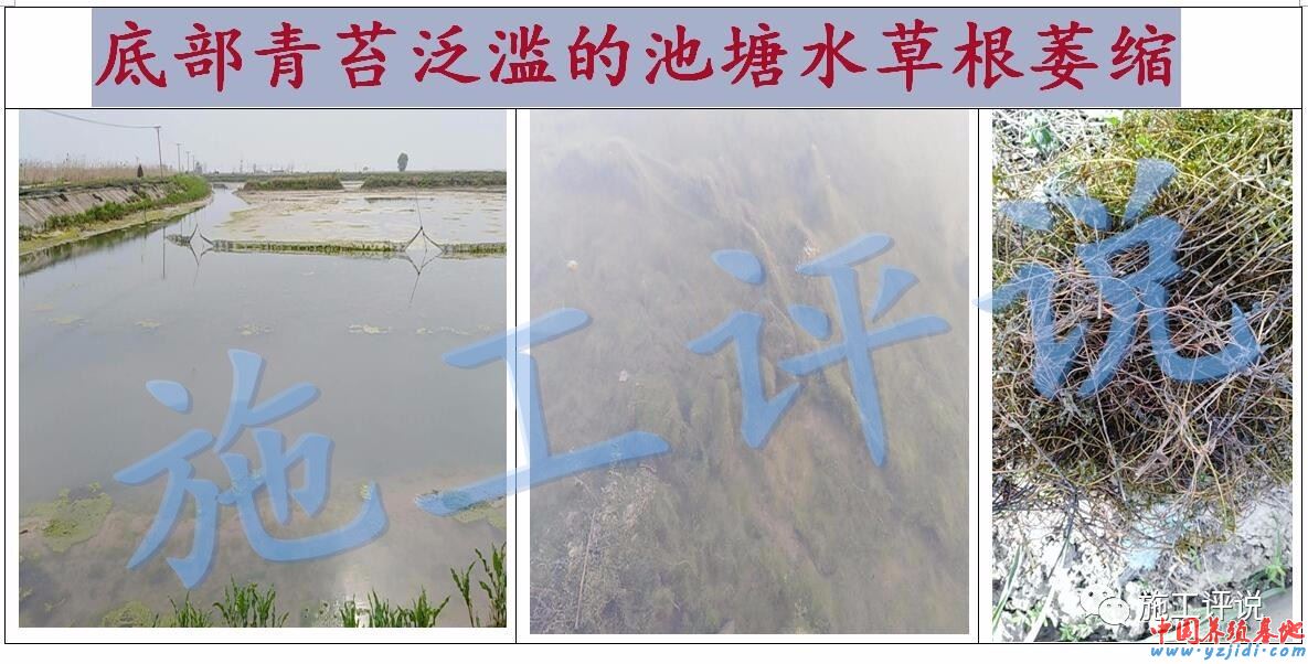 中國養殖基地 yzjidi.com