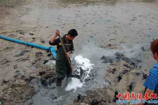 中國養殖基地 yzjidi.com