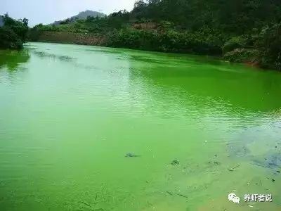 中國養殖基地 yzjidi.com