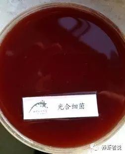 中國養殖基地 yzjidi.com