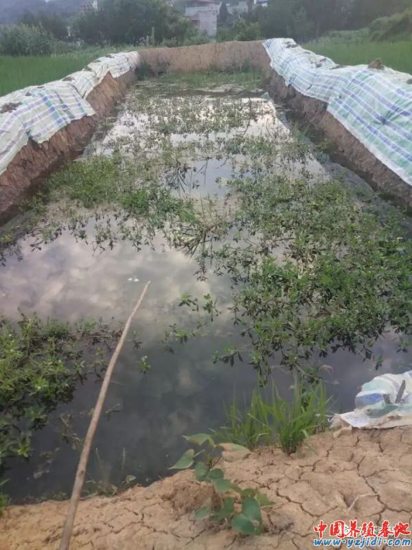 中國養殖基地 yzjidi.com