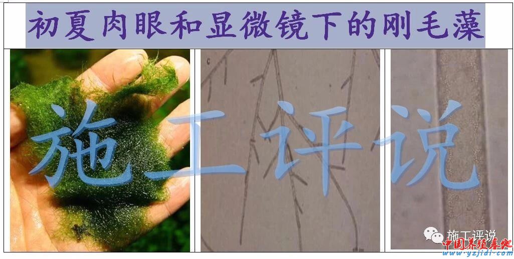 中國養殖基地 yzjidi.com