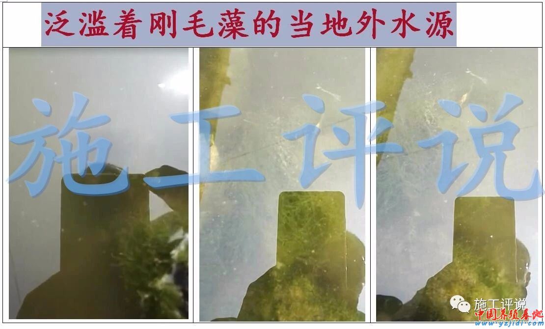 中國養殖基地 yzjidi.com