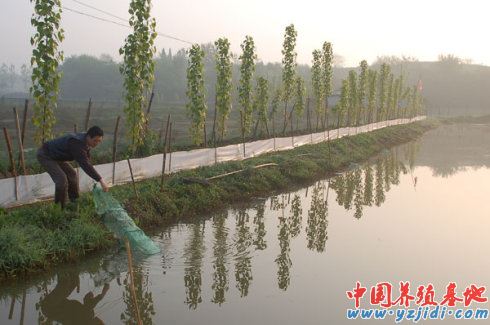 中國養殖基地 yzjidi.com