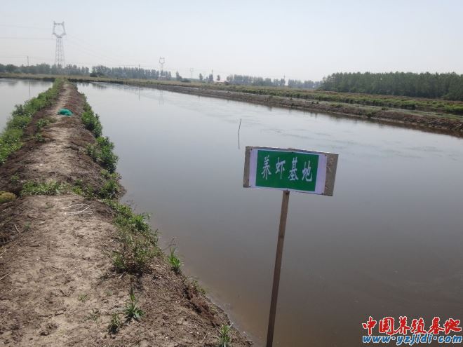 中國養殖基地 yzjidi.com