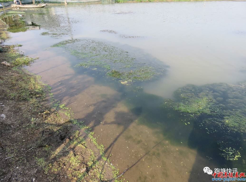 中國養殖基地 yzjidi.com