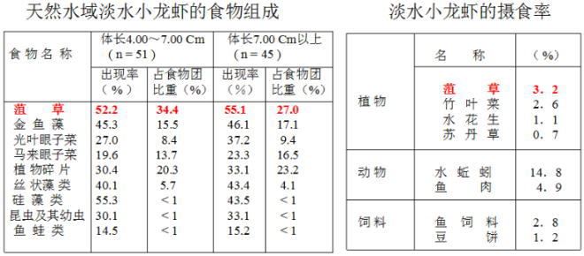 中國養殖基地 yzjidi.com