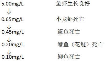 中國養殖基地 yzjidi.com