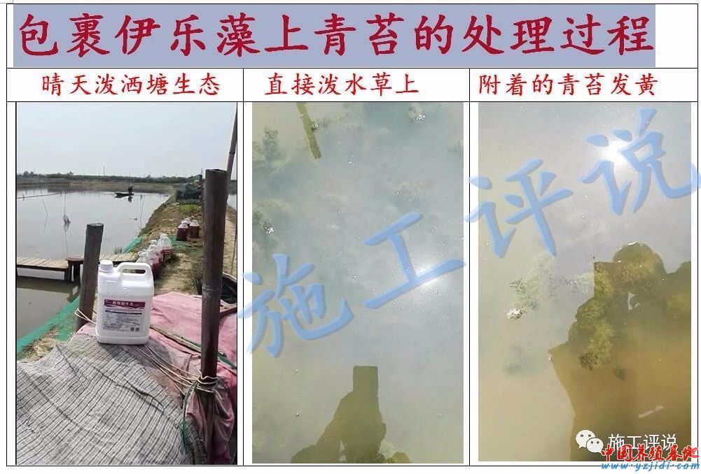 中國養殖基地 yzjidi.com