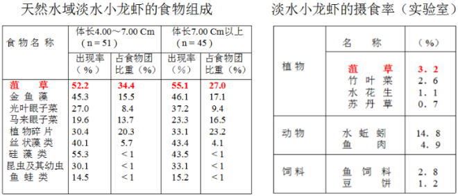 中國養殖基地 yzjidi.com