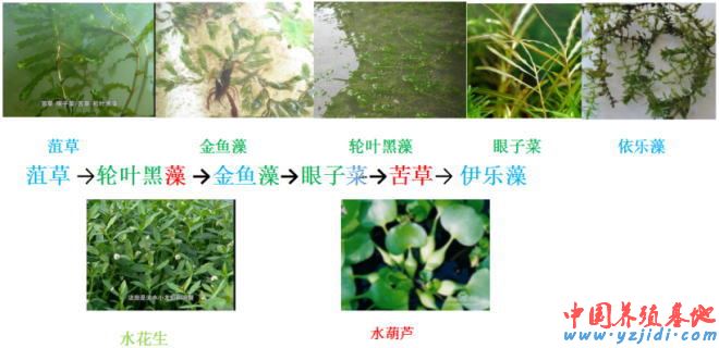 中國養殖基地 yzjidi.com