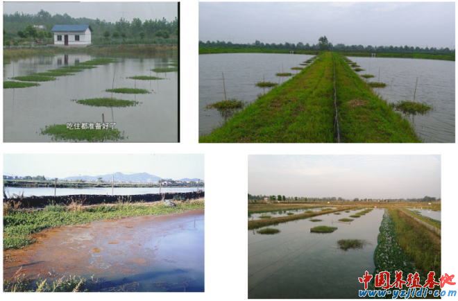 中國養殖基地 yzjidi.com