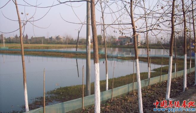 中國養殖基地 yzjidi.com