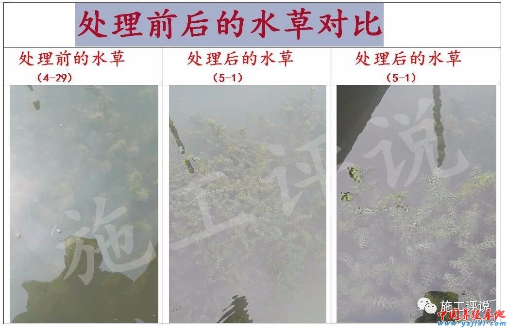 中國養殖基地 yzjidi.com
