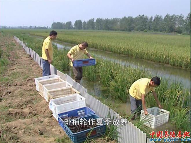 中國養殖基地 yzjidi.com