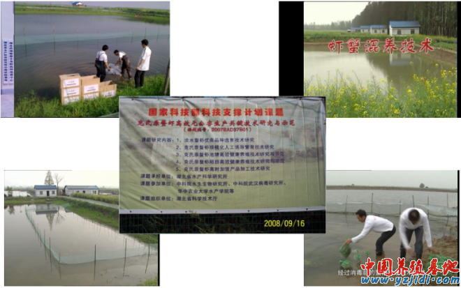 中國養殖基地 yzjidi.com