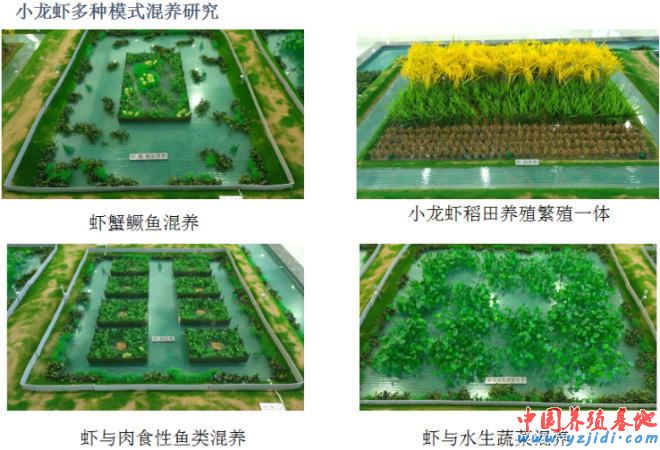 中國養殖基地 yzjidi.com