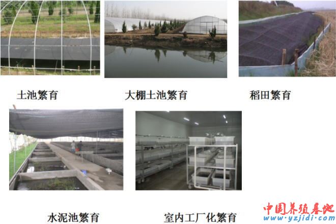 中國養殖基地 yzjidi.com
