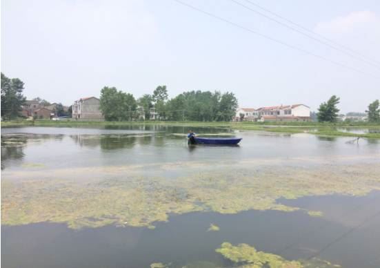 中國養殖基地 yzjidi.com