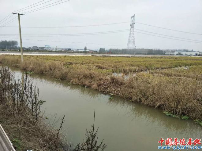 中國養殖基地 yzjidi.com