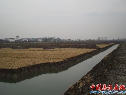 中國養殖基地 yzjidi.com