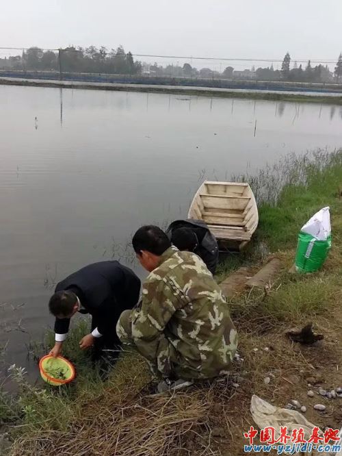 中國養殖基地 yzjidi.com