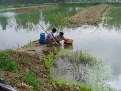 中國養殖基地 yzjidi.com