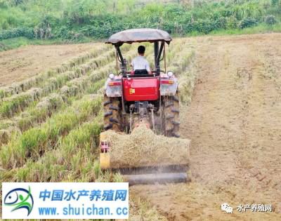 中國養殖基地 yzjidi.com