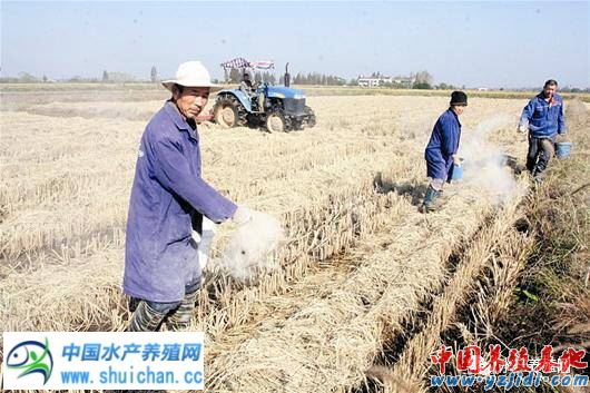 中國養殖基地 yzjidi.com